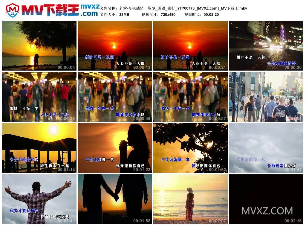 若汐-今生感情一场梦_国语_流行_YF700773